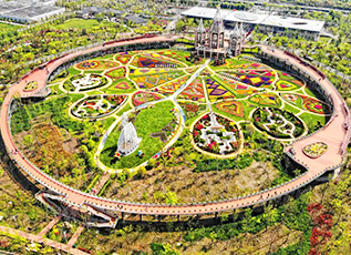 首页- yl永利集团中国区官方网站