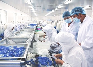 首页- yl永利集团中国区官方网站